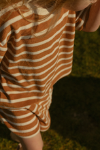 sterling set in cinnamon stripe