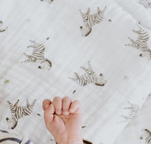 zebra swaddle