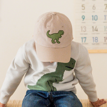dinosaur patch baseball cap
