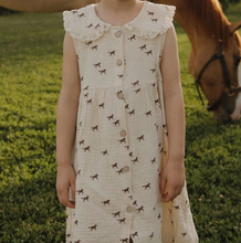 wild horses muslin dress