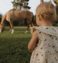 wild horses muslin bubble