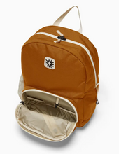 big tommy pack in rust