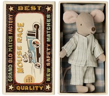 big brother mouse in box
