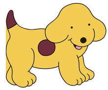 all about spot