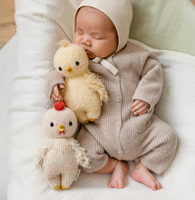 cuddle+kind baby chicken