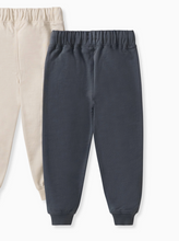 jogger in slate