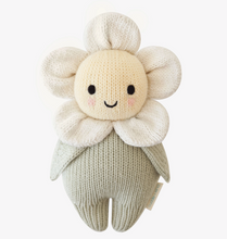 ivory baby daisy