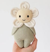 ivory baby daisy