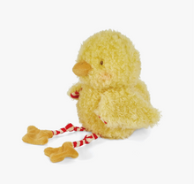 wee clucky little chicken