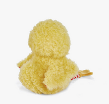 wee clucky little chicken