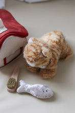 munchkin cat and carrier