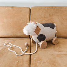 pull along cow