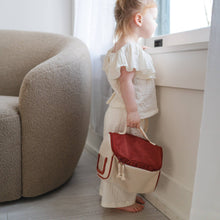 munchkin cat and carrier