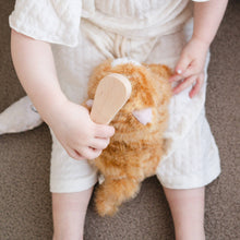 munchkin cat and carrier