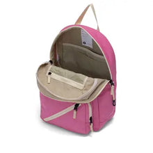 big tommy pack in bubblegum