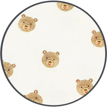 swaddle blanket in teddy