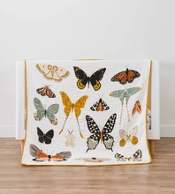 butterfly collector reversible quilt