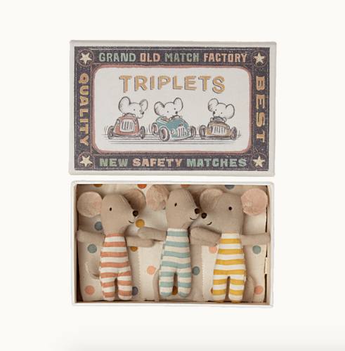 baby mice triplets in a box
